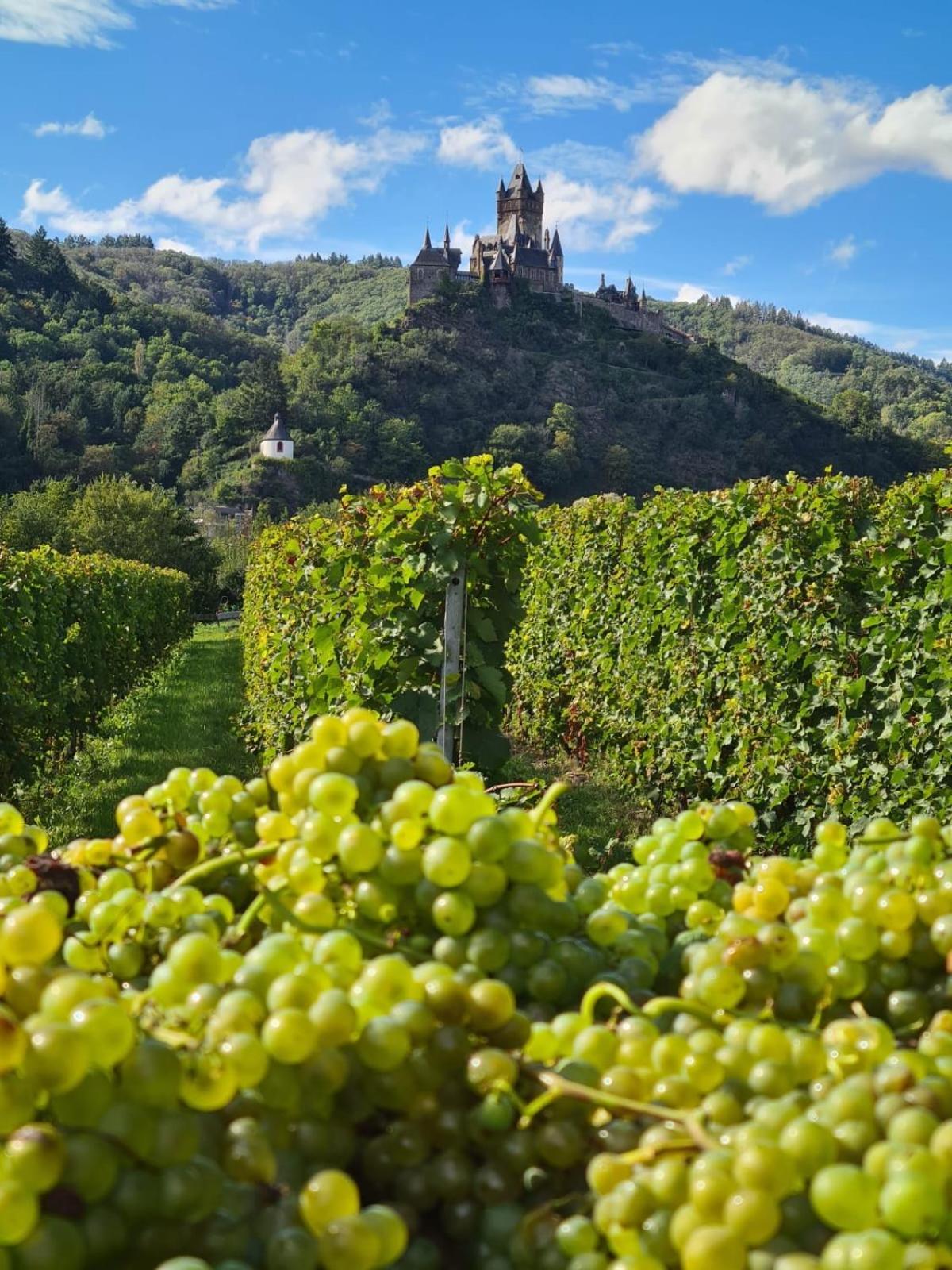 Weingut Gaestehaus Bach Κόχεμ Εξωτερικό φωτογραφία